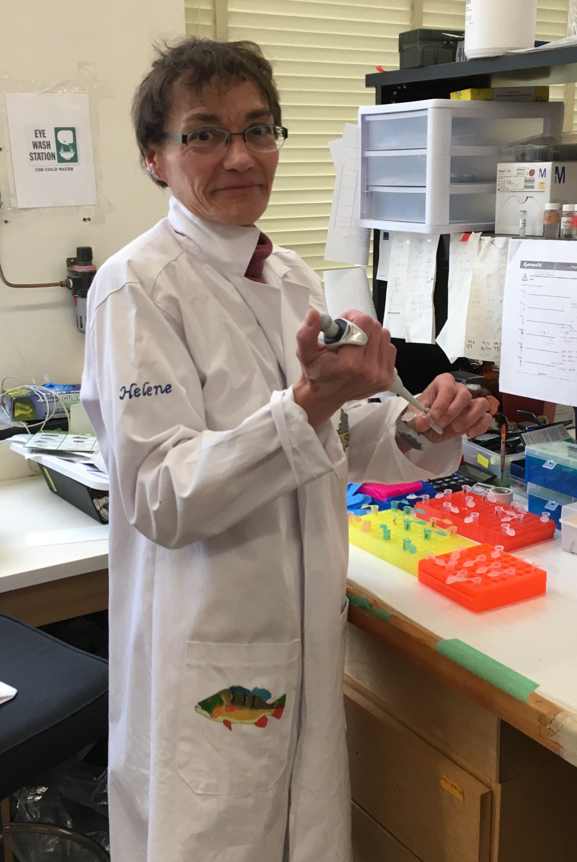 HV Lab march 2019 1