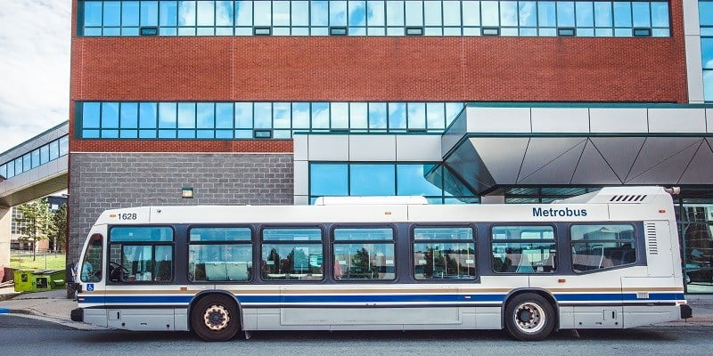 bus