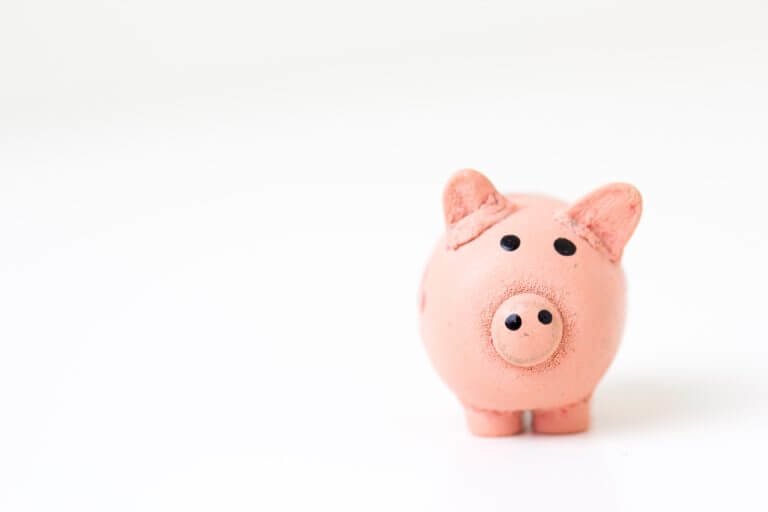 Student Survival Guide: Keeping a Budget