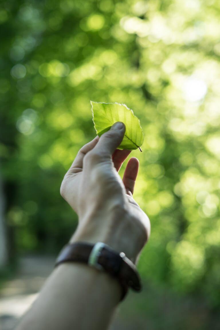 Sustainable Study: The Nature of Online Learning