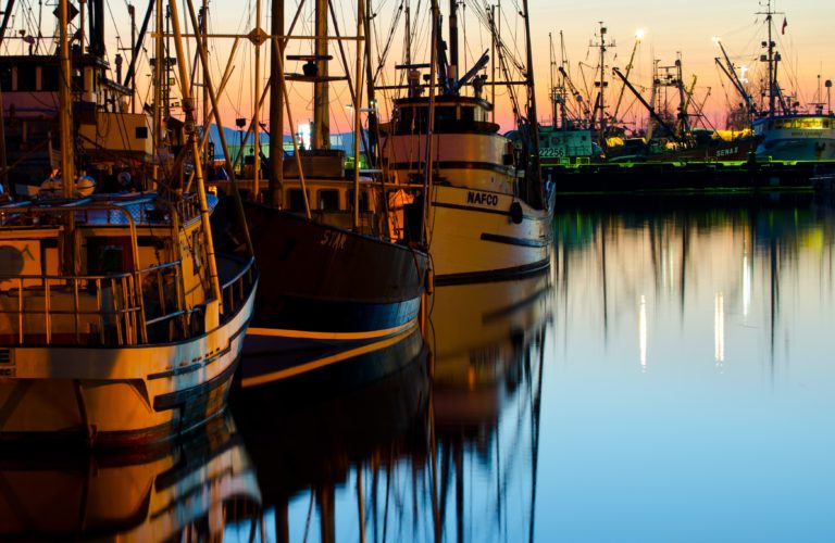 It’s Time for Politics to Take Fishing Seriously: the Neglect of Fisheries in (International) Politics