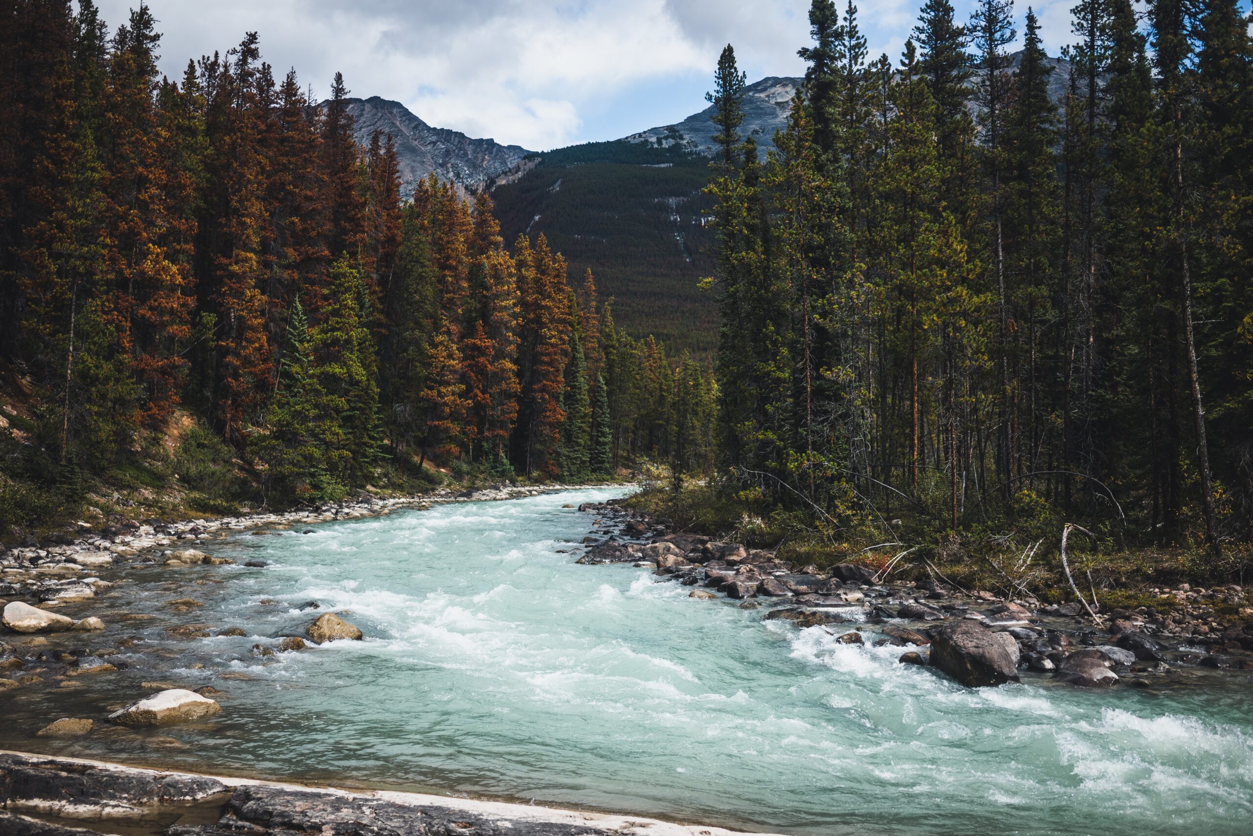 neil cooper WGED93ww46Y unsplash