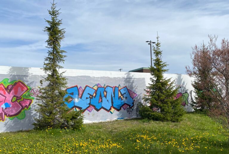 MUN beautification: St. John’s campus launches legal street art wall