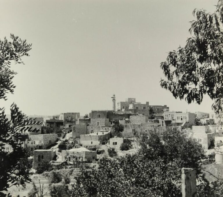 Stories of Palis (Issue I)