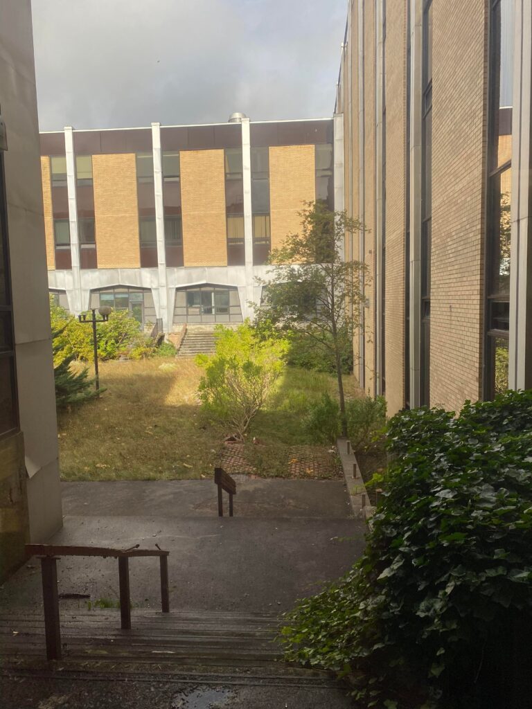 “I want to go to there”: Plans for the Chem-Physics greenspace