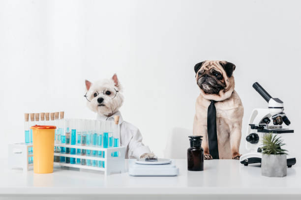dogs science