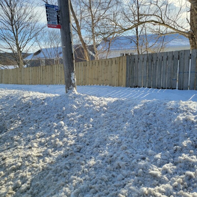 Wintertime storms prompts accessibility concerns in St. Johns