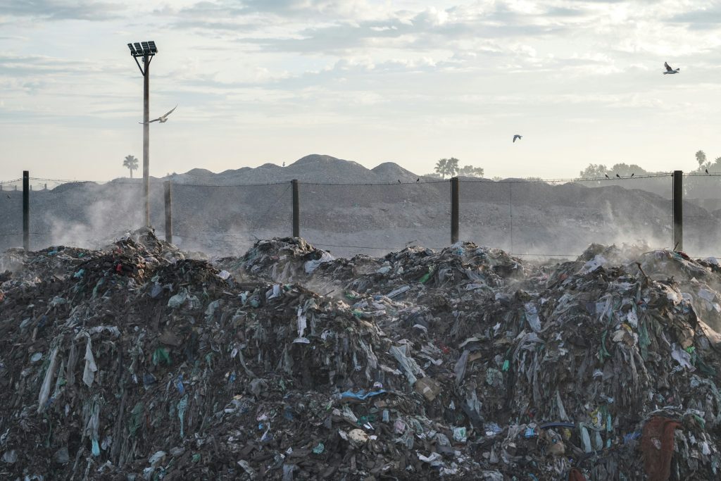 clothing waste katie rodriguez