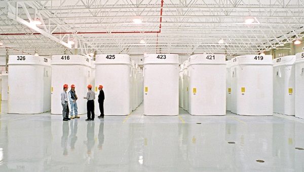 Dry storage containers via NWMO