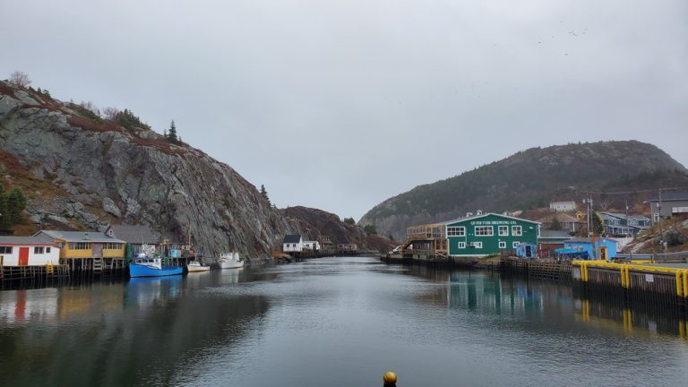 A Scenic Bike Ride to Quidi Vidi Harbour