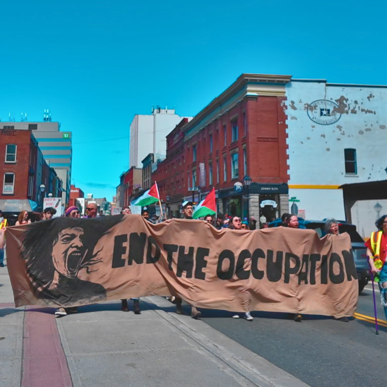 Pro-Palestine protesters hold traffic on Water Street
