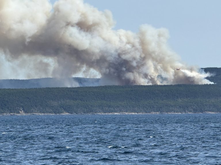 OPINION: Nation Building or Nation Burning? Wildfires and the Climate Crisis