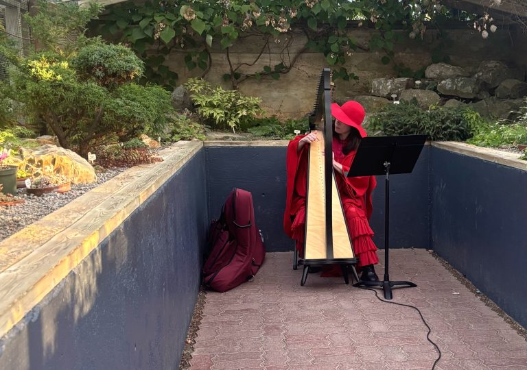 Echo Village performance held at the Botanical Gardens