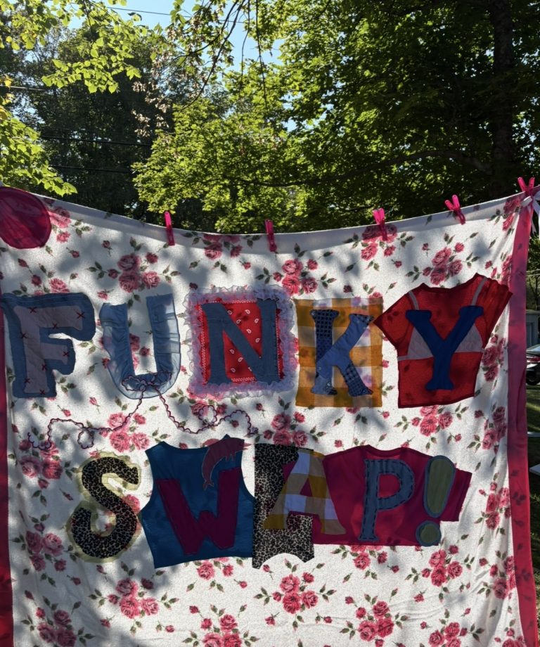 Funky Swap brings queer-organized cashless fun to Bannerman Park