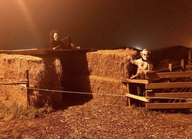 Ghouls night out: Halloween happenings in St. John’s