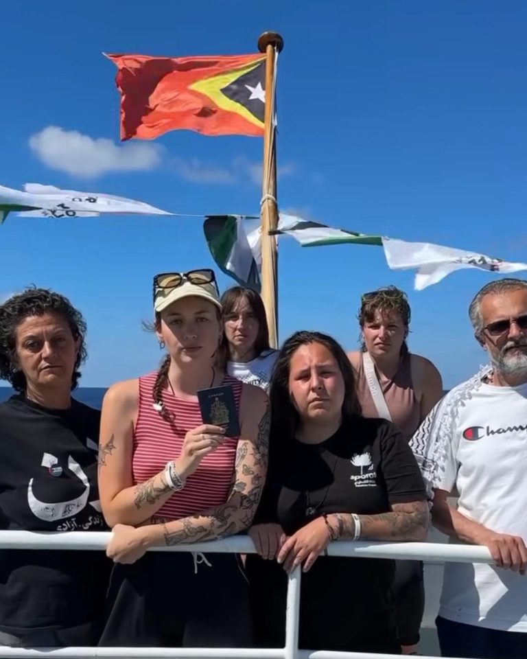 Three Newfoundland activists abducted by Israeli military