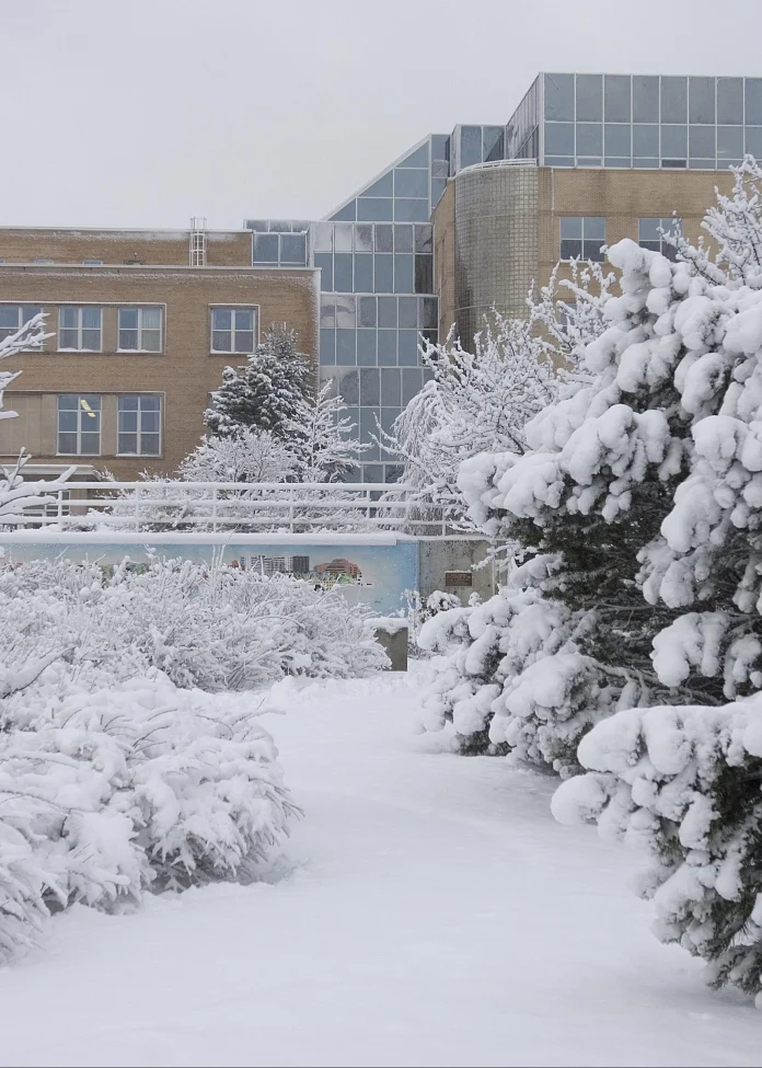 Winter Arts and Admin