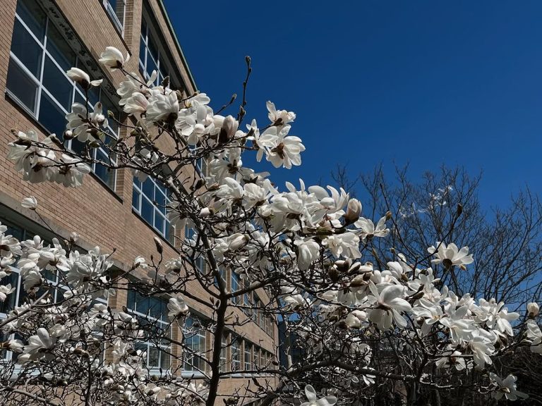 LETTER: It’s time to dissolve the GSU. What comes next?