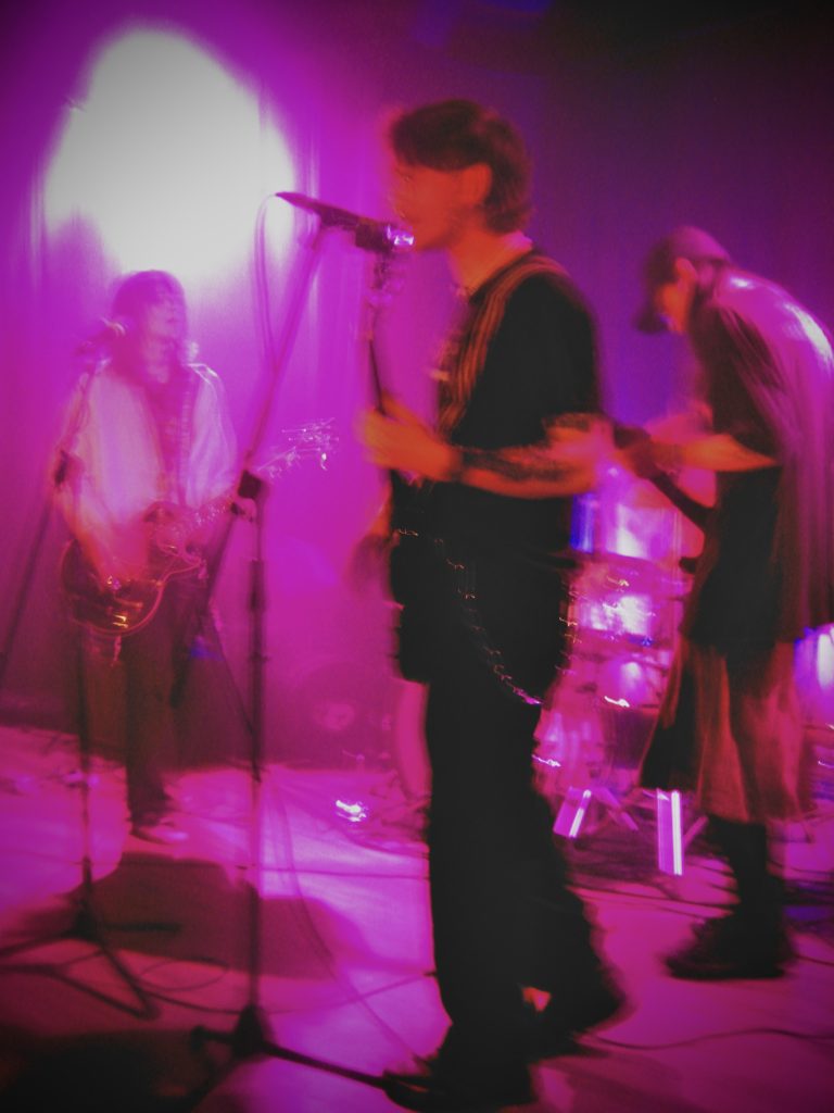 GALLERY: Lawnya Vawnya 16 photographed by Claire Smith